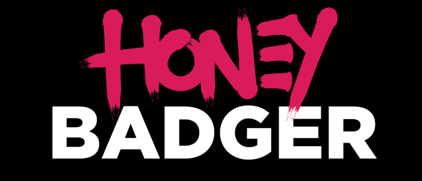 honey badger gun